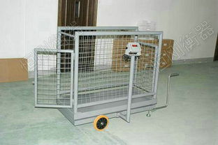 高原放養(yǎng)牦牛可移動(dòng)牲畜秤 精準(zhǔn)稱(chēng)重助力畜牧業(yè)發(fā)展